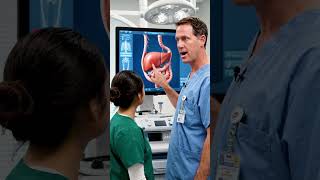 human liver #conection of liver system