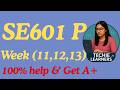 SE601 Practical Lecture Week (11,12,13) || Easy way for 100% Understanding || Final Term Preparation