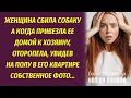 Женщина сбила собаку, а когда привезла ее к хозяину, впала в ступор, увидев валявшееся на полу фото