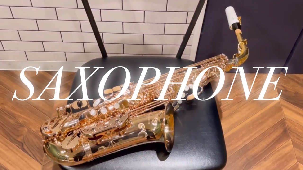 SAXOPHONE】 私のサクソフォン紹介とヤナギサワクロッシュ