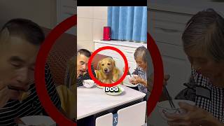The Dog Wouldn’t Let Grandma Go Hungry