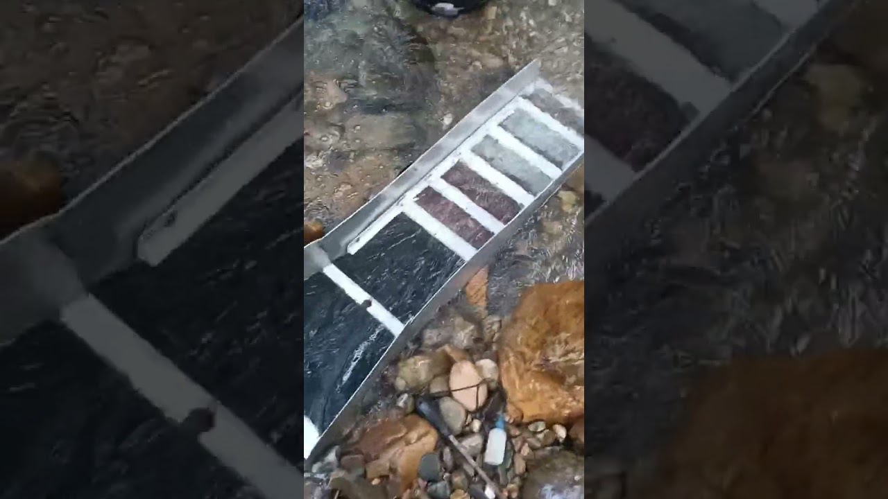 buscando ORO en el RIO con SLUICE BOX CASERA!! GOLD NUGGETS!! la fiebre del oro