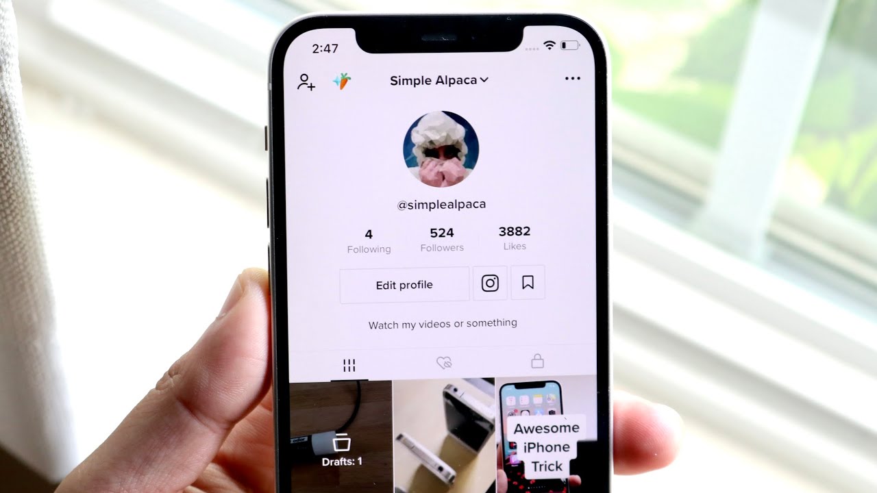 Using TikTok, What Does the Term "pinned" Mean? 