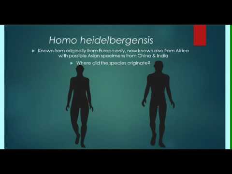 Video: Heidelberg Man - Vedere Alternativă