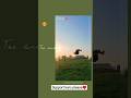 “Backflip Master 😱 हवा में उड़ता हुआ स्टंट!”“Risky Stunt ⚡ #stunt #shorts #viral #video #subscribe