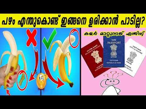 വീൽ  ചെയറിൽ  ഇരിക്കുന്ന ഗോൾഡ് ഫിഷ്  ഉണ്ടോ ?5 മിനിറ്റ് മുൻപ് വരെ നിങ്ങൾക്ക് അറിയില്ലായിരുന്ന വസ്തുതകൾ