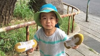 2歳0ヶ月の息子 ドクターイエローのプラレール スニーカーで電車ごっこ