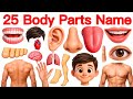 25 Body Parts Name English and Hindi with Pictures | 25 शरीर के अंगों के नाम | Parts of Body Name. 🤚