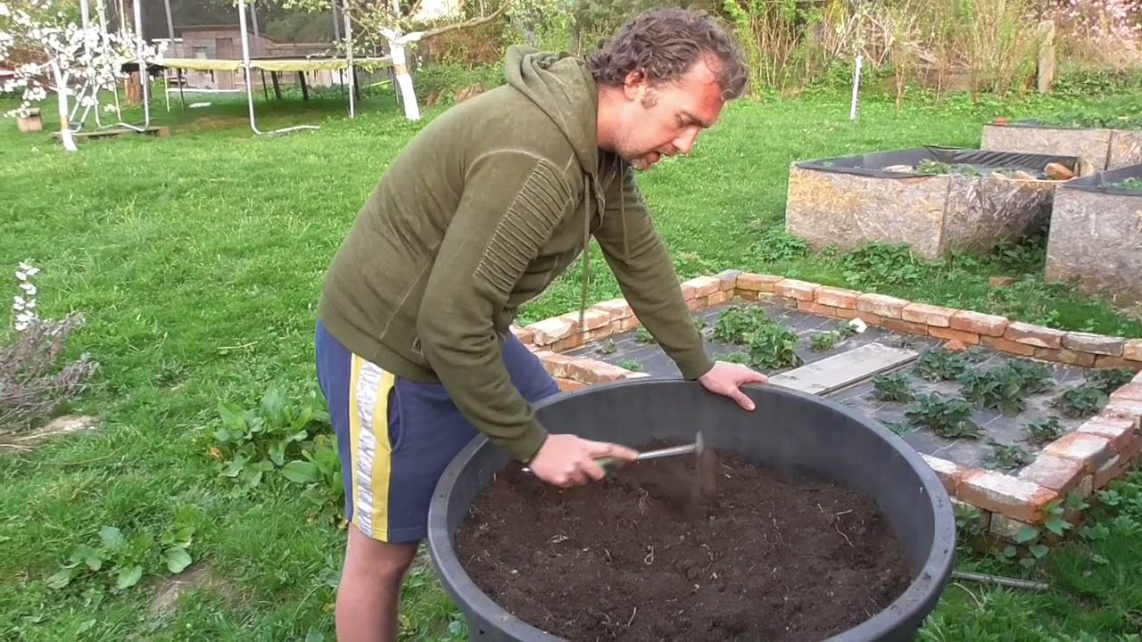 Lichořeřišnice a její využití. Přírodní antibiotikum.