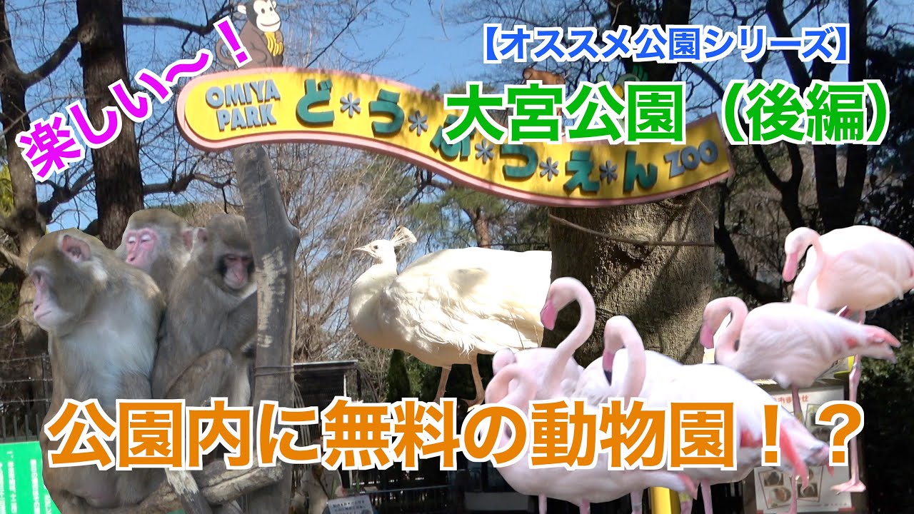 【オススメ公園シリーズ】大宮公園（後編）