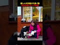 優しい犬が届けた食べ物、本当の飼い主への愛情！#shorts #動物 #ペット