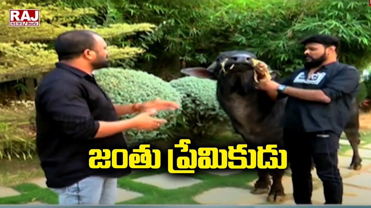 జంతు ప్రేమికుడు : Special Interview with Chikoti Praveen Kumar |  Raj News Telugu