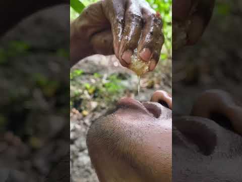 SUMMER SPECIAL PURE HONEY #pure #honey #forest #1000subscriber #natural