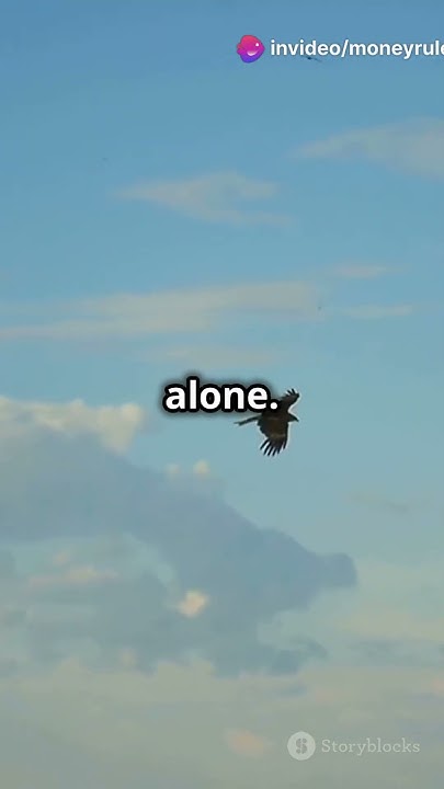 Why Eagles Soar Solo: Unleash Your Inner Strength! #motivation #shorts