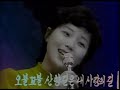 산향길山间小路/金京子