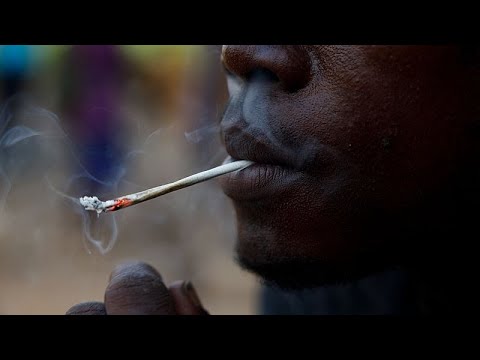 Sierra Leone : le "kush" serait 25 fois plus puissant que le fentanyl