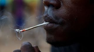 Sierra Leone : le "kush" serait 25 fois plus puissant que le fentanyl