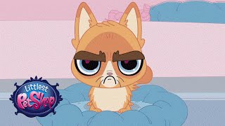 Littlest Pet Shop - ‘Sour Puss’ Original Short