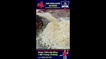 ✅Máy băm thái chuối đa năng takyo HCM l máy băm cây chuối, băm cỏ voi cho dê, bò gà ở HCM#shorts