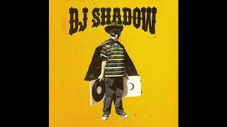 DJ Shadow - Seein&#39; Thangs