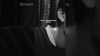 Dream - Suzy,Baekhyun (Cover)