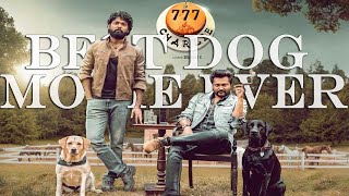 777 Charlie (2022) Movie Explained In Hindi @HauntingNight #trending #movie #doglover #dog