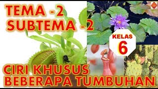 Dalam video ini disajikan materi pelajaran tematik khusunya kelas 6
tema 1 persatuan perbedaan subtema rukun perbedaan. dimana pada d...