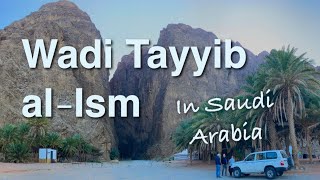 Download Lagu A Path of Refreshment? Looking for Biblical Elim MP3