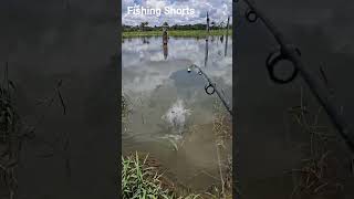 Fish Catching Techniques by hook 🎣 #shorts #fishing #new