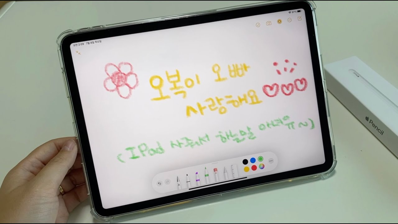 아이패드 프로 11형 2세대 / 아라리 케이스 / 애플펜슬 2세대 언박싱