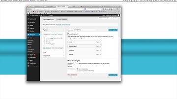 Menu volgorde wijzigen in WordPress