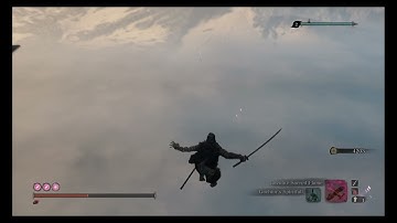 Sekiro: Folding Screen Monkey Skip Tutorial (Console)