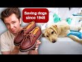 Why 635 veterinary shoes exist