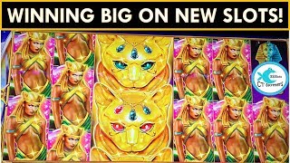 BIG WINS ON SLOTS NEW TO US! 😻 DESERT CATS SLOT MACHINE, HIGH VOLTAGE BLACKOUT SLOT