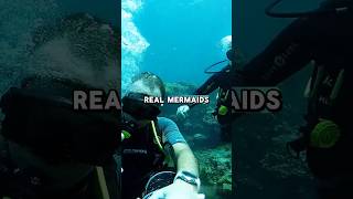 Do Mermaids Exist in Real Life? Wealth