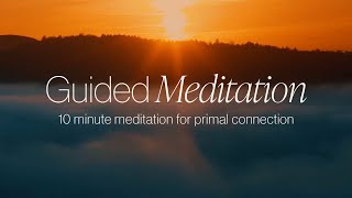 10 Minute Guided Meditation to Realign Your Primal Connection