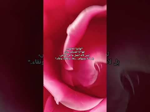 تهادوا تحابوا فها أنا أ هديكم ورد ا إليكم ورد لا يذبل بودكاست تيك توك مغاربةالعالم
