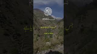 #ayat #noor #quran #islamicvideo #motivation #hadees #aliflammim #quranrecitation