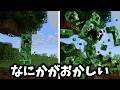 なにかが変なマインクラフト...!?【マイクラ】
