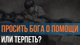 Просить Бога о помощи или терпеть? Максим Каскун