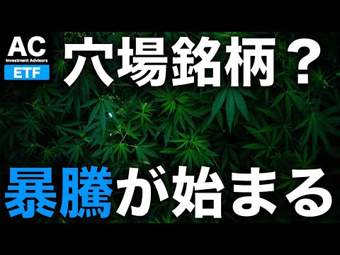 【ETF】穴場銘柄なのか？低迷株の暴騰が始まる
