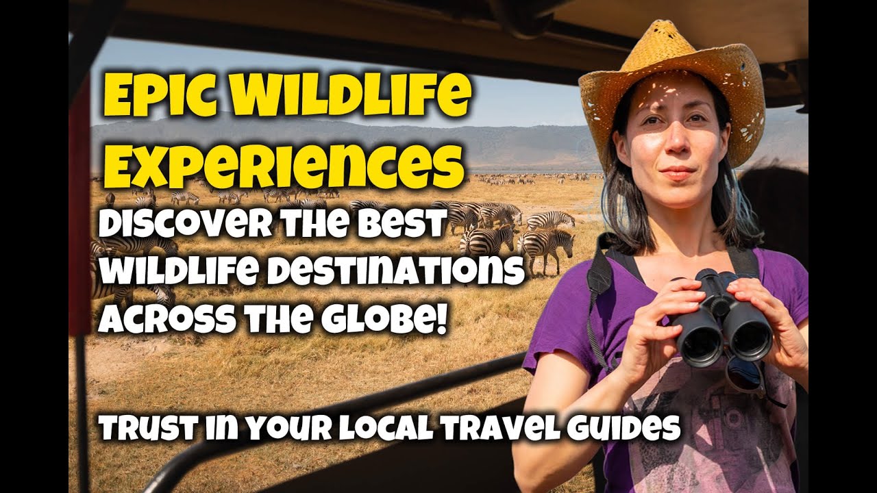 🌍 Top 10 Wildlife Destinations You Have to See Once in Your Life 🐘🦍🦎