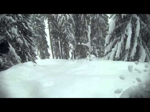 Fellhorn powdern