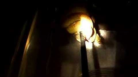 Green tree python caudal luring