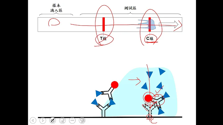 流行性感冒流感病毒快筛试剂的操作与原理(Operation and principle of rapid influenza diagnostic test) - 天天要闻