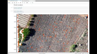 A geospatial Python class for crop recognition over drone orthophoto - Tutorial