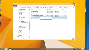 PlexEditor setting batch files