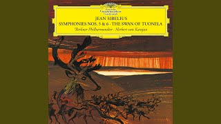 Sibelius: Symphony No. 6 in D Minor, Op. 104: IV. Allegro molto