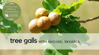 Tree Galls by Horticulture Webinar Wednesday 175 views 7 months ago 48 minutes