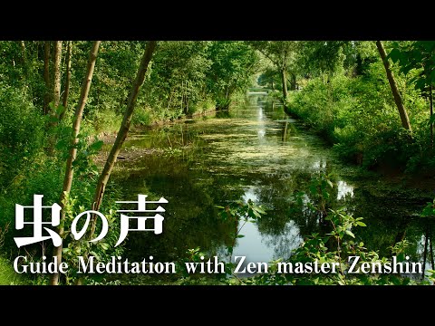 Nature Sound Singing of Insects | Guided Meditation with Zen master Zenshin - deep relaxation